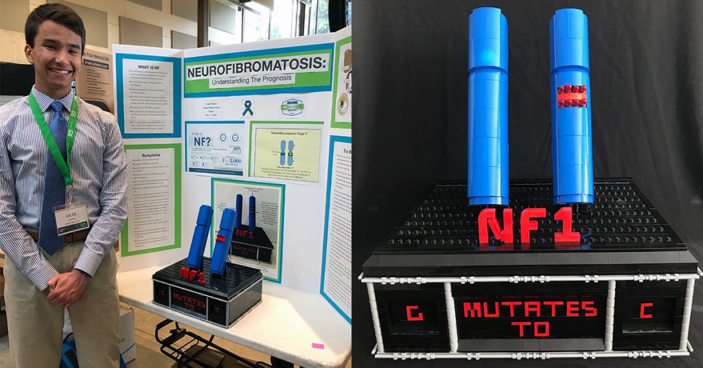 Lego Genetics LEGO Chromosomal Genetics Model for Neurofibromatosis by Caleb Watson ...