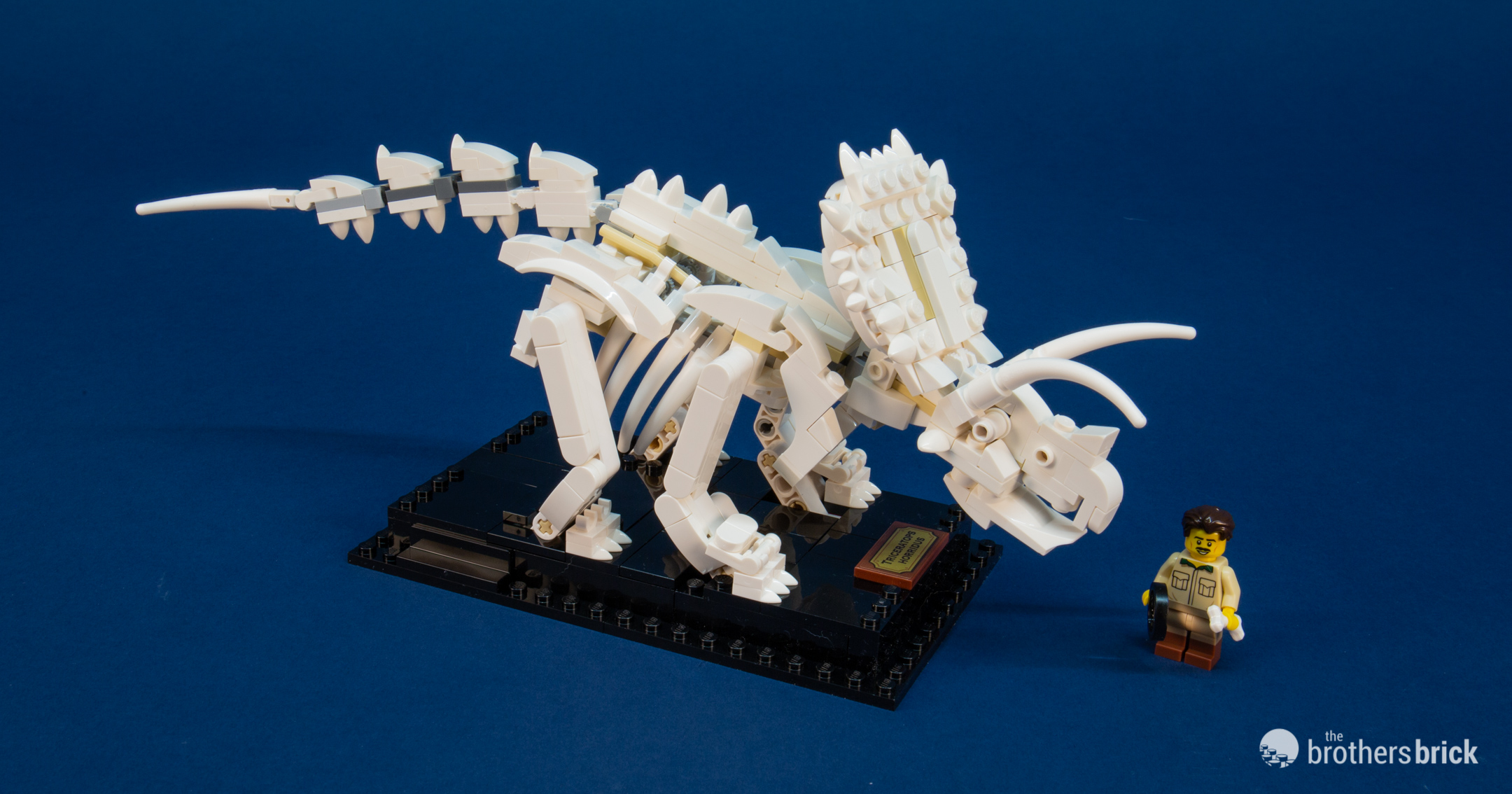 LEGO Ideas 21320 Dinosaur Fossils Review-FX5QX-20 - The Brothers Brick ...