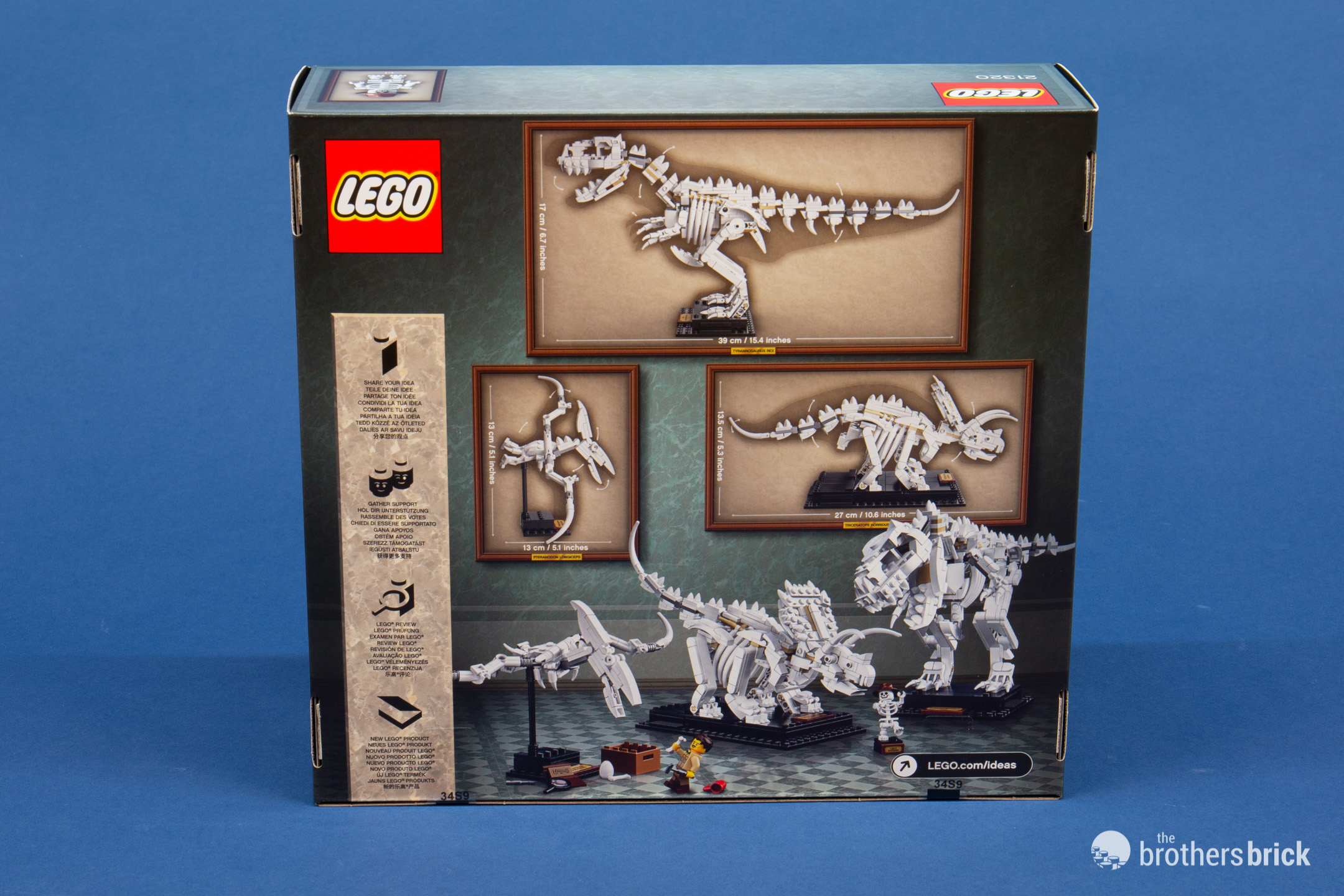 LEGO Ideas 21320 Dinosaur Fossils Review-FX5QX-43 - The Brothers Brick ...