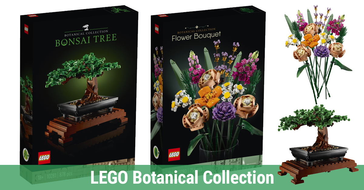 grow it bonsai anleitung deutsch GROW2GO Australische Kiefer Bonsai Starter Kit