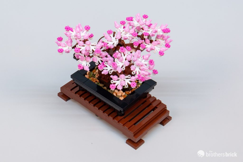 LEGO 10281 Bonsai Tree from the Botanical Collection [Review] - The  Brothers Brick | The Brothers Brick