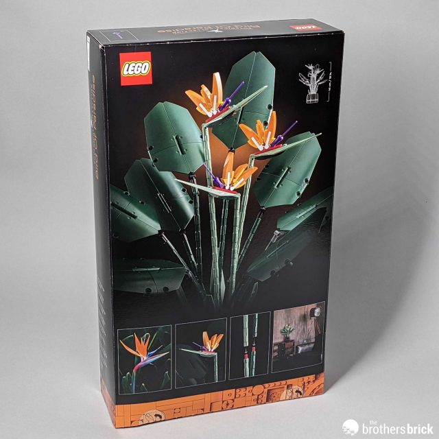 LEGO Botanical Collection 10289 Bird of Paradise: April showers