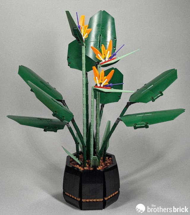 LEGO Botanical Collection 10289 Bird of Paradise: April showers bring May  flowers [Review] - The Brothers Brick | The Brothers Brick