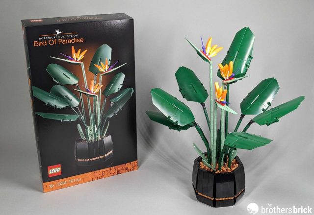 LEGO Botanical Collection 10289 Bird of Paradise: April showers bring May  flowers [Review] - The Brothers Brick | The Brothers Brick