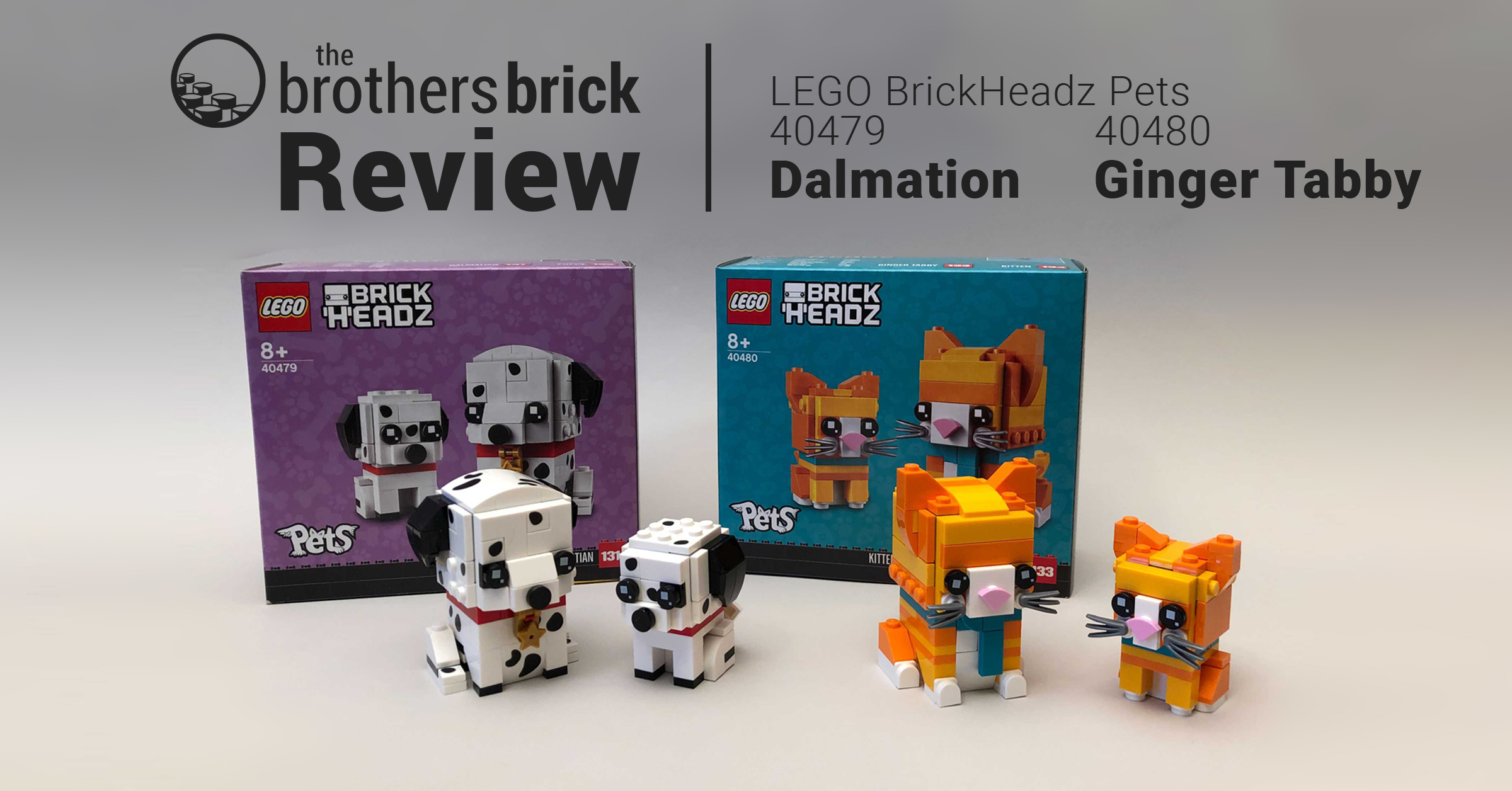 dalmation-ginger-tabby-no-