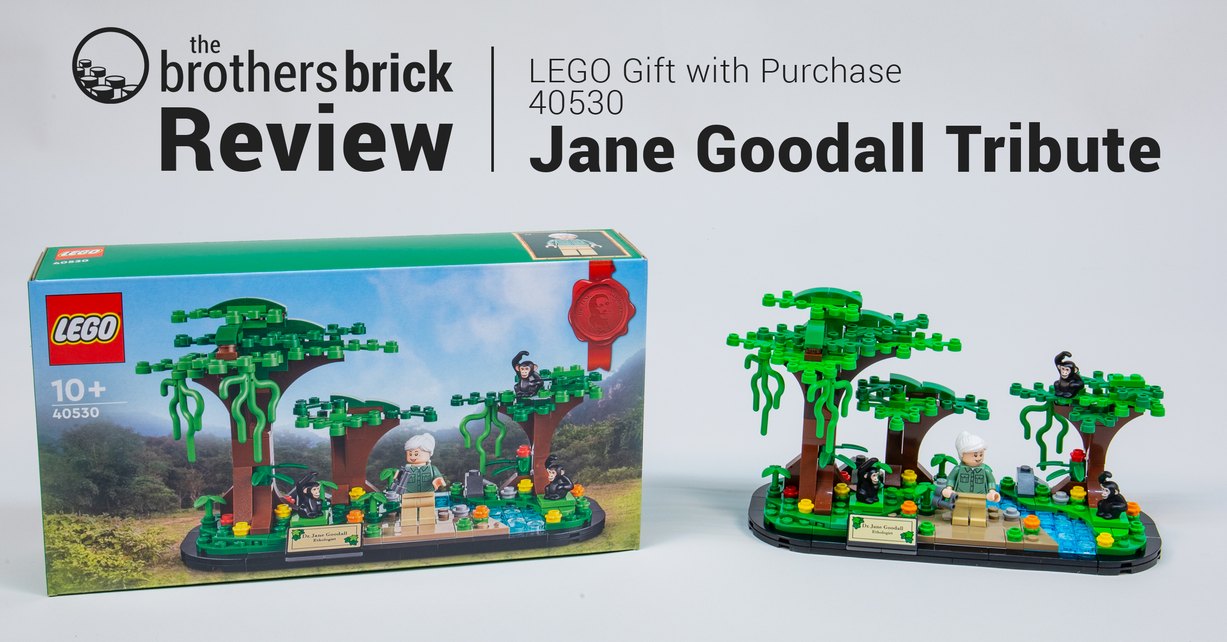 LEGO Gift with Purchase 40530 Jane Goodall Tribute [Review] - The