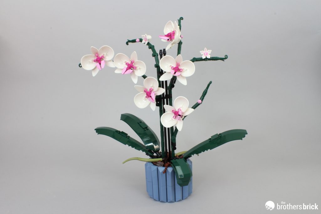 LEGO Botanical Collection 10311 Orchid - beauty comes in many