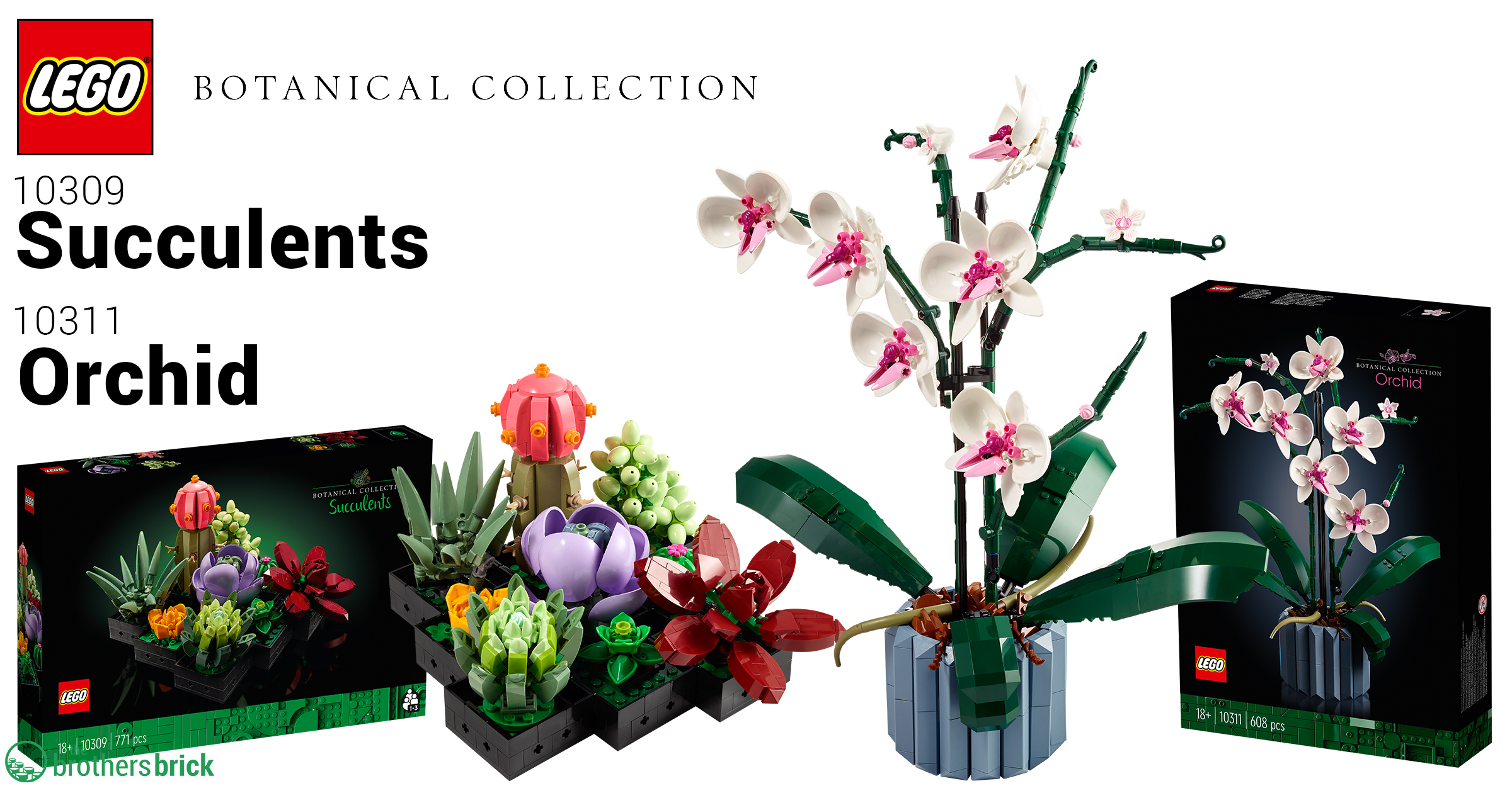 LEGO reveals next two Botanical Collection sets: 10309 Succulents and 10311  Orchid [News] - The Brothers Brick | The Brothers Brick