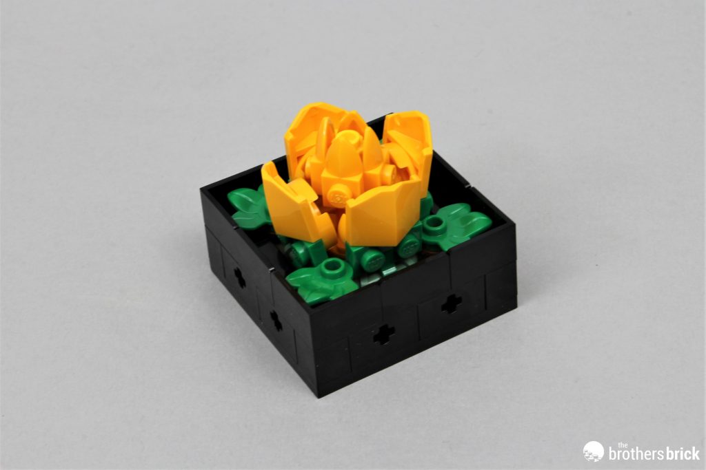 LEGO Botanical Collection 10309 Succulents - faux plants that don