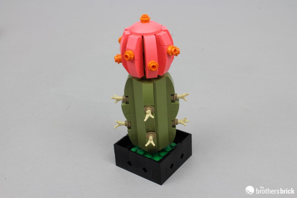 LEGO Botanical Collection 10309 Succulents - faux plants that don't suck  [Review] - The Brothers Brick | The Brothers Brick