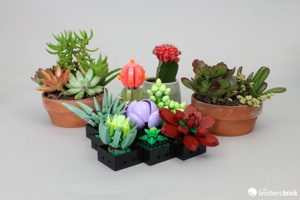 LEGO Botanical Collection 10309 Succulents - faux plants that don't suck  [Review] - The Brothers Brick | The Brothers Brick