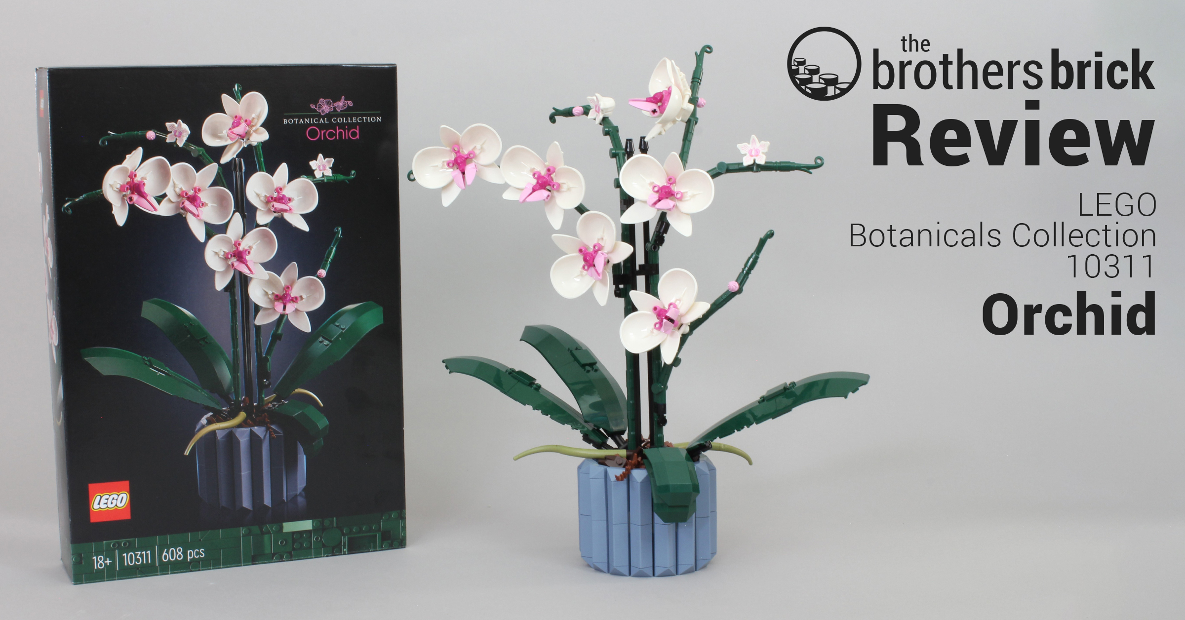 LEGO Botanical Collection 10311 Orchid - beauty comes in many
