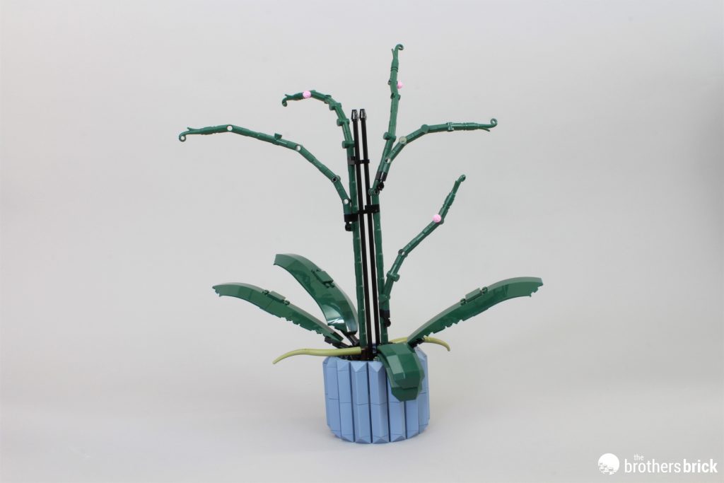 LEGO Botanical Collection 10311 Orchid - beauty comes in many