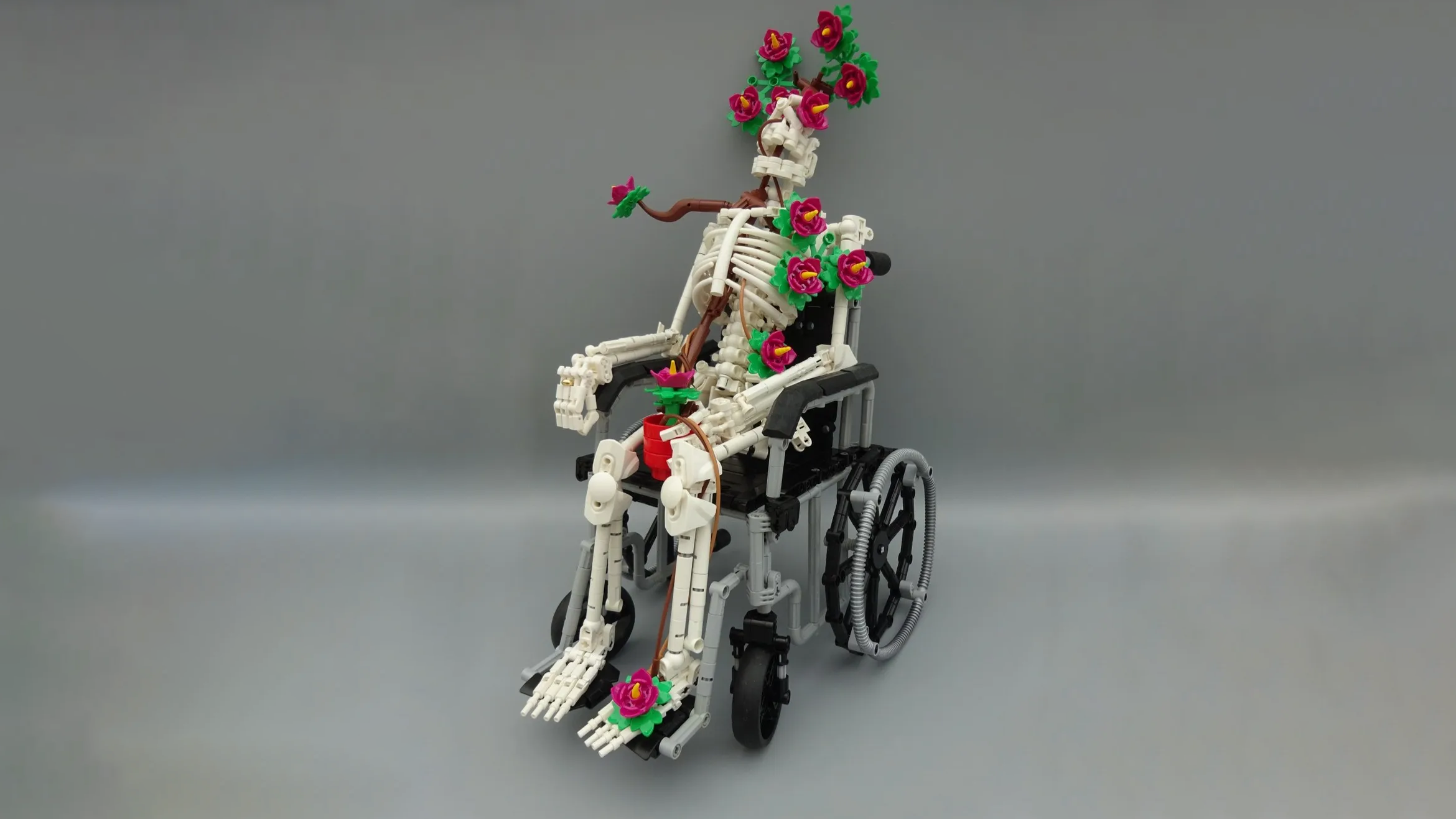 Exploring the cycle of life and death in all its haunting beauty