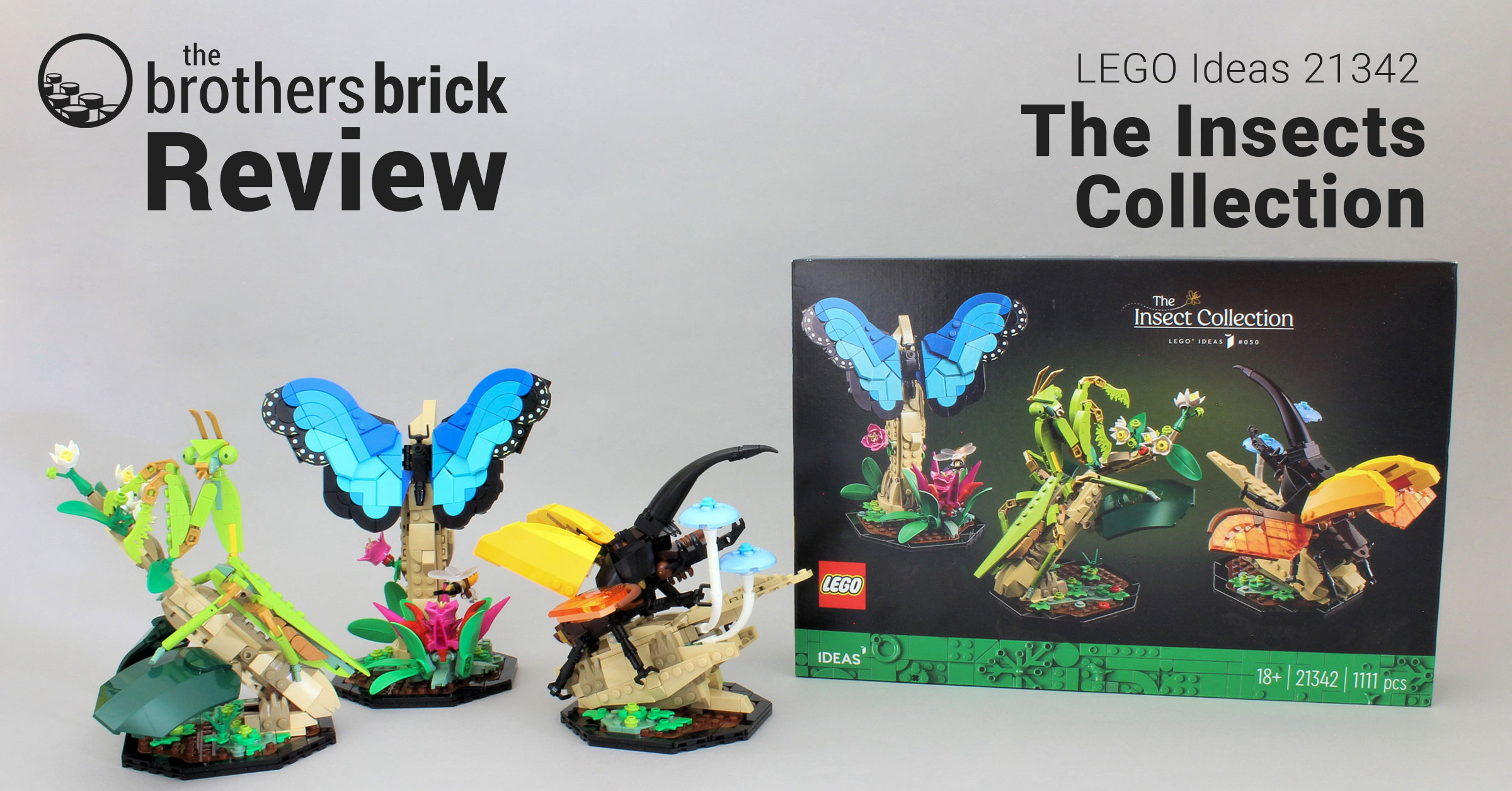 TBB-Review-Insects.jpg