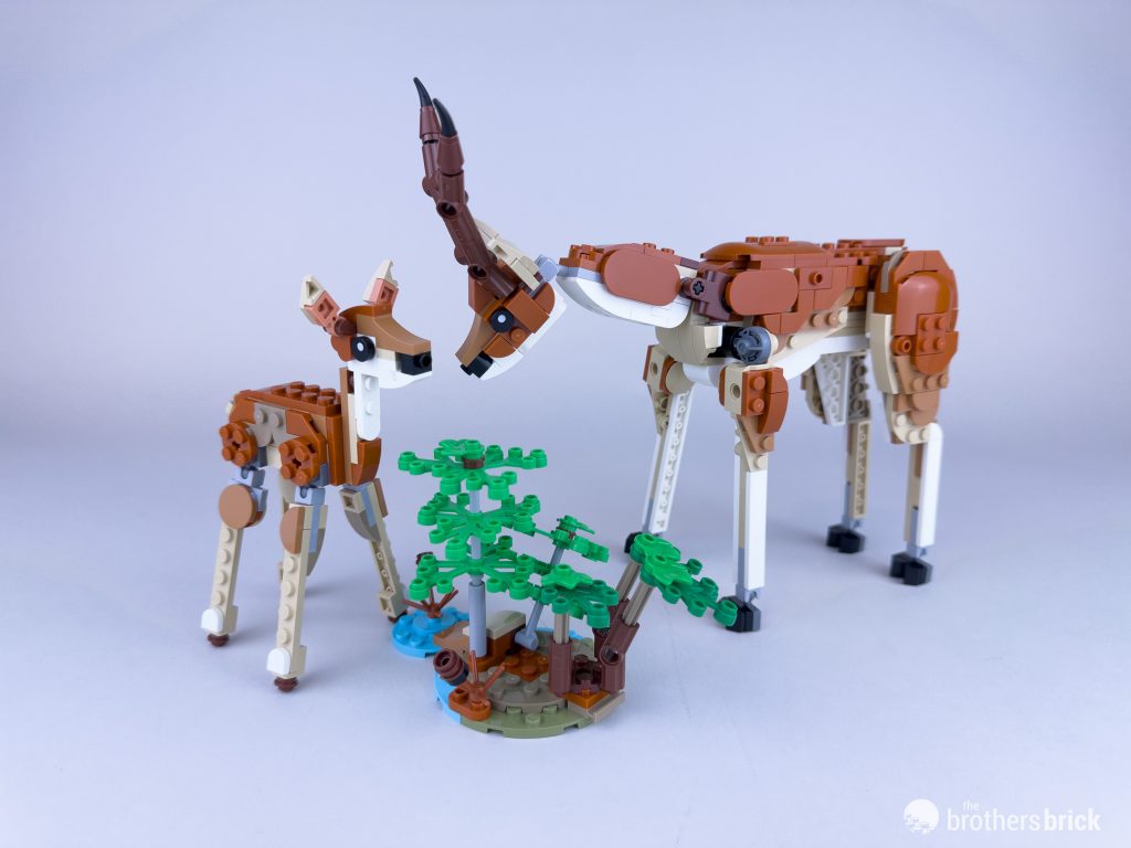 LEGO Creator 3-in-1 31150 Wild Safari Animals [Review] - The