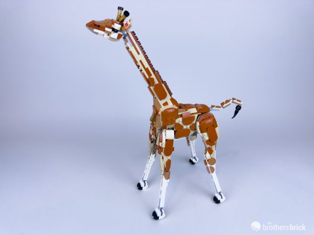 LEGO Creator 3-in-1 31150 Wild Safari Animals [Review] - The