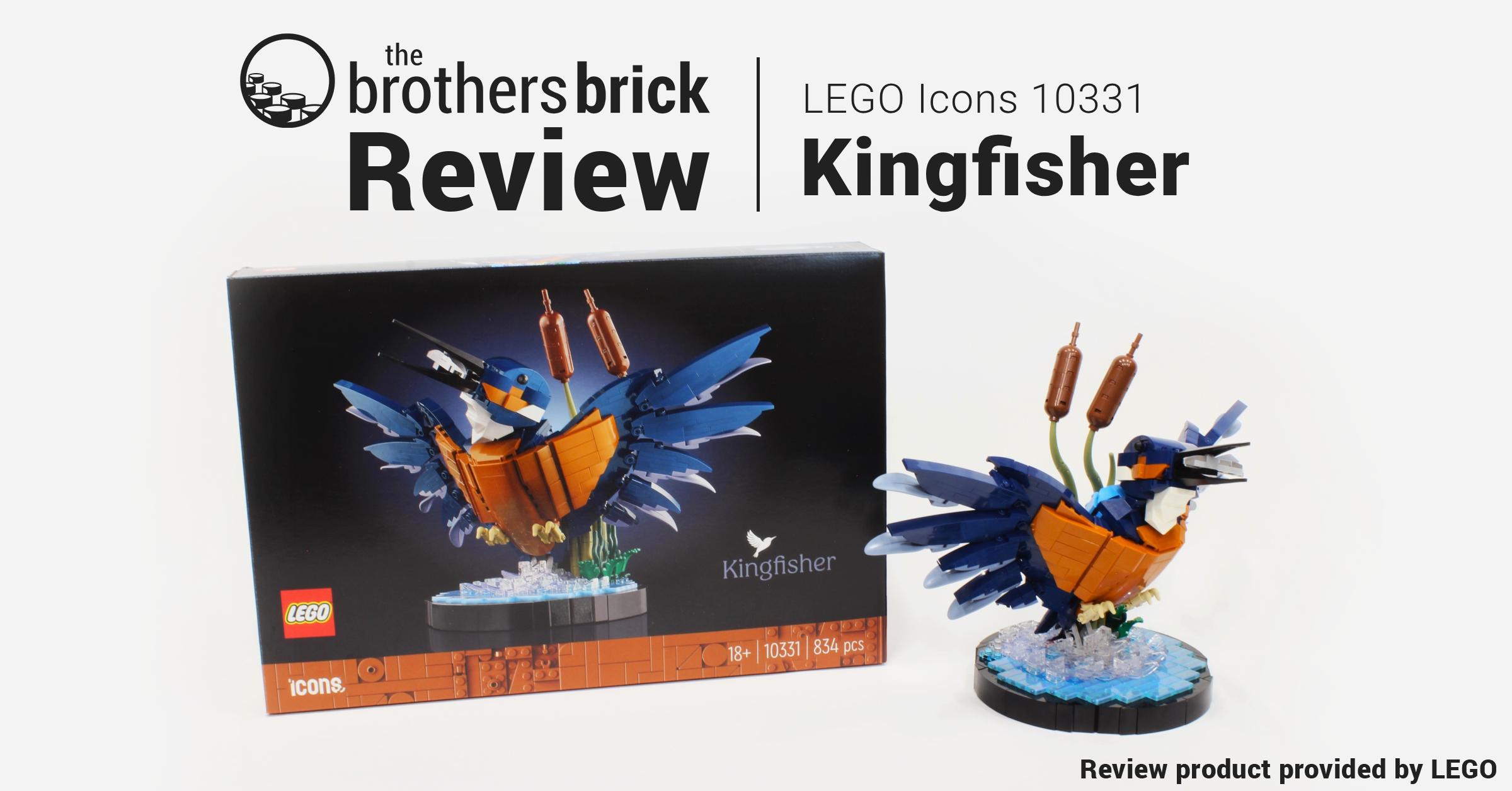 LEGO-Icons-10331-Kingfisher-