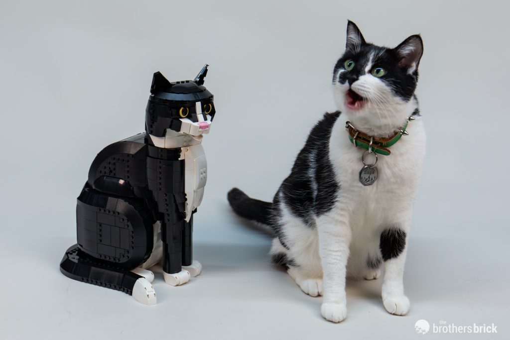 LEGO Ideas 21349 Tuxedo Cat [Review] - The Brothers Brick | The