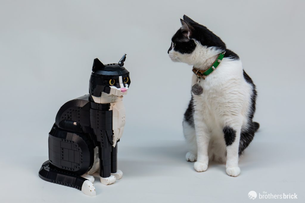 LEGO Ideas 21349 Tuxedo Cat [Review] - The Brothers Brick | The