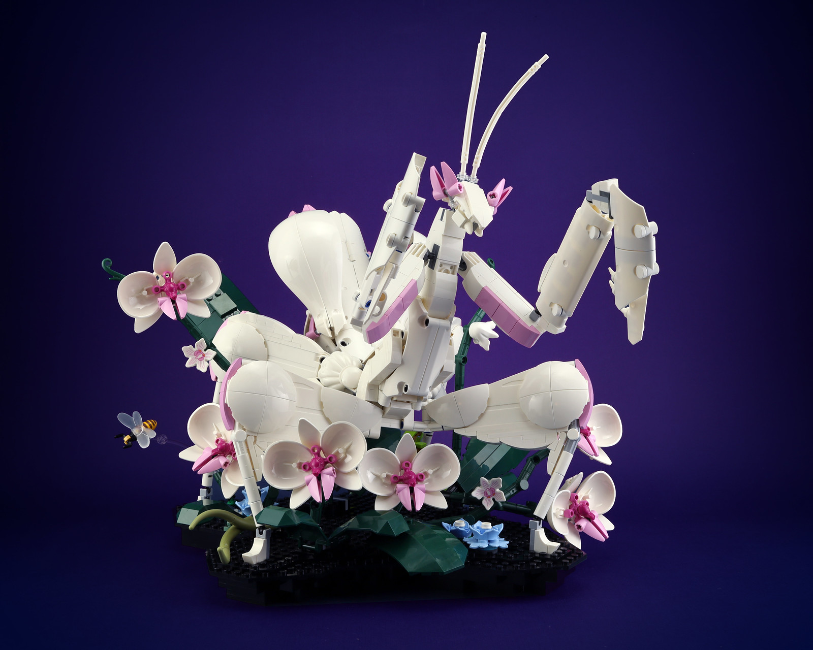 This builder brings the beautiful bugs - The Brothers Brick | The 