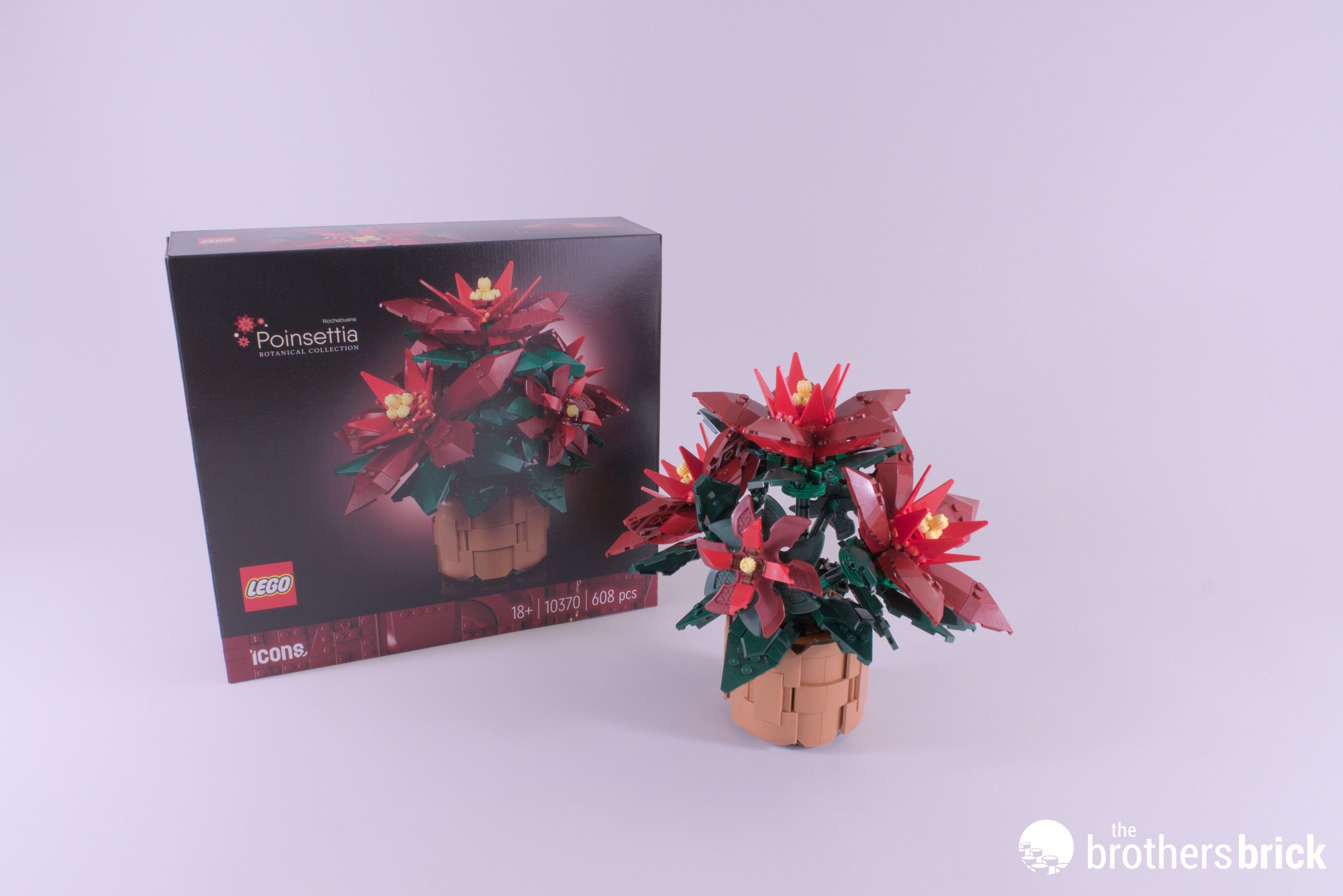 LEGO Icons Botanical Collection 10370 Poinsettia - Big points for