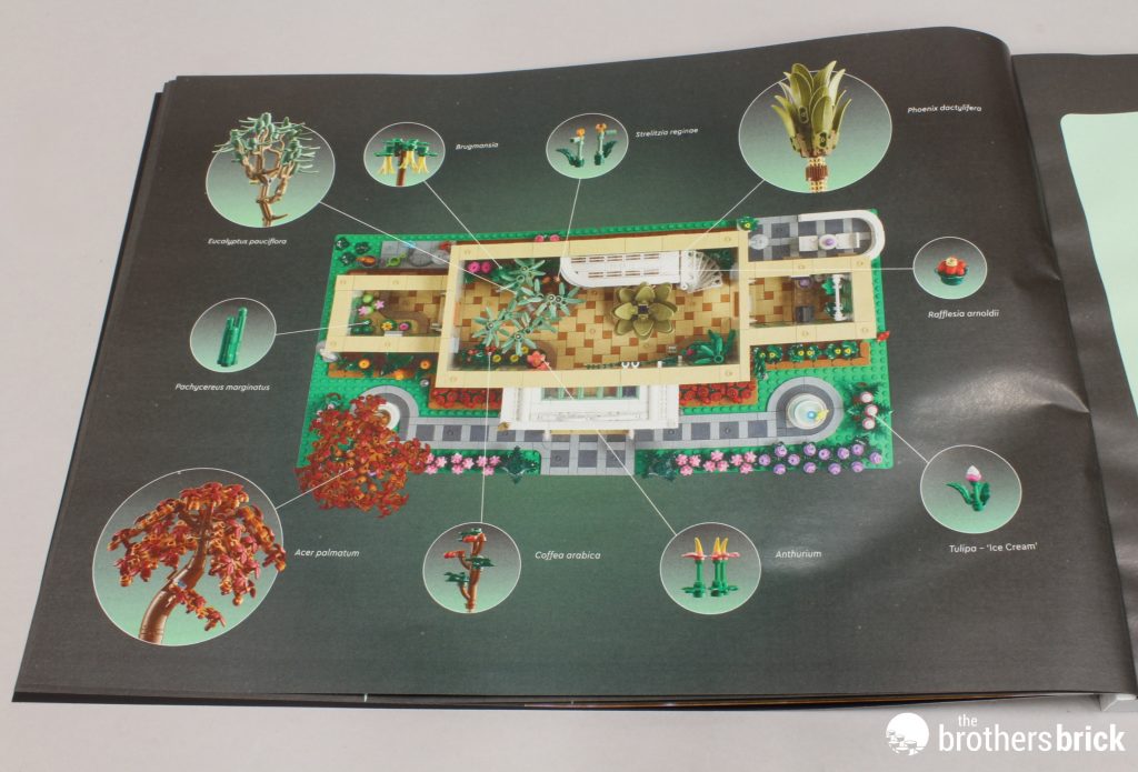 LEGO Ideas 21353 The Botanical Garden - Is it everything we've