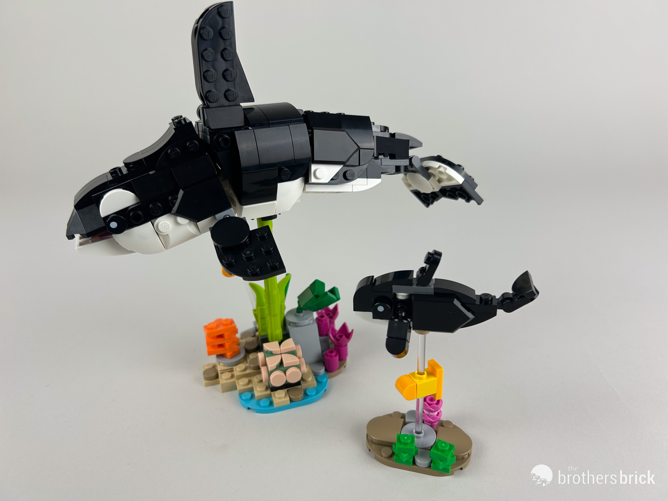 LEGO Creator 31165 - Wild Animals - TBB Review - PNDA-01 - The