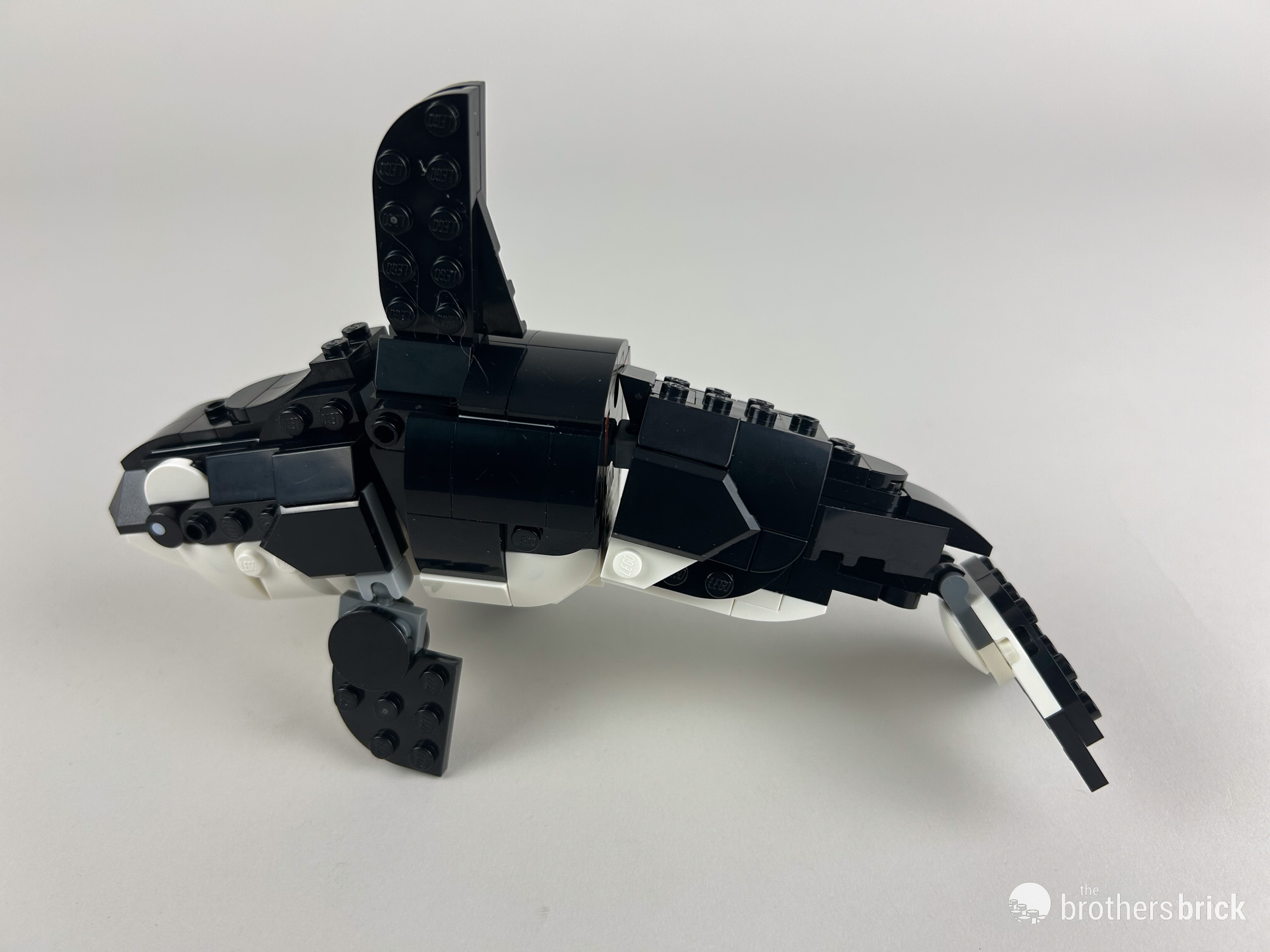 LEGO Creator 31165 - Wild Animals - TBB Review - PNDA-03 - The