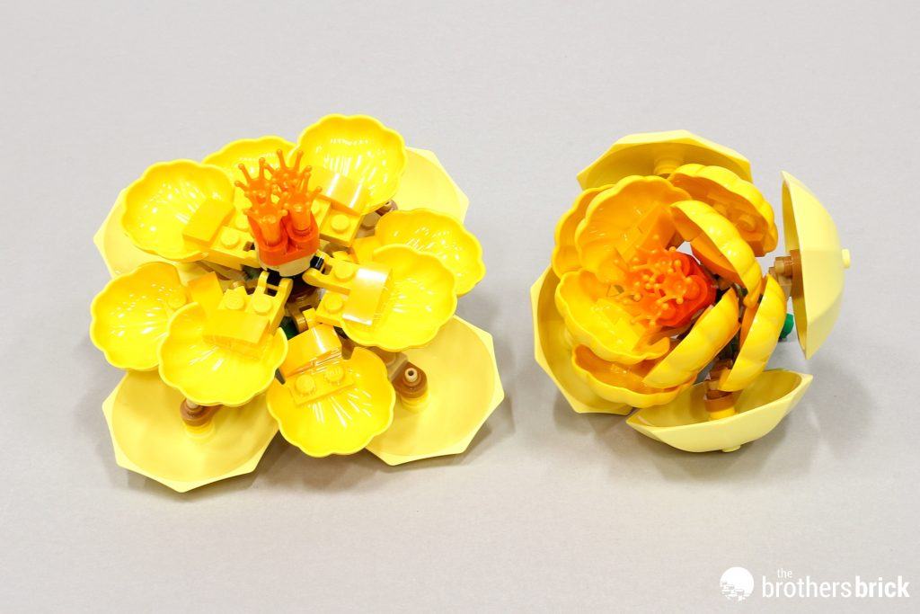LEGO Botanicals 10345 Flower Arrangement [Review] - The Brothers
