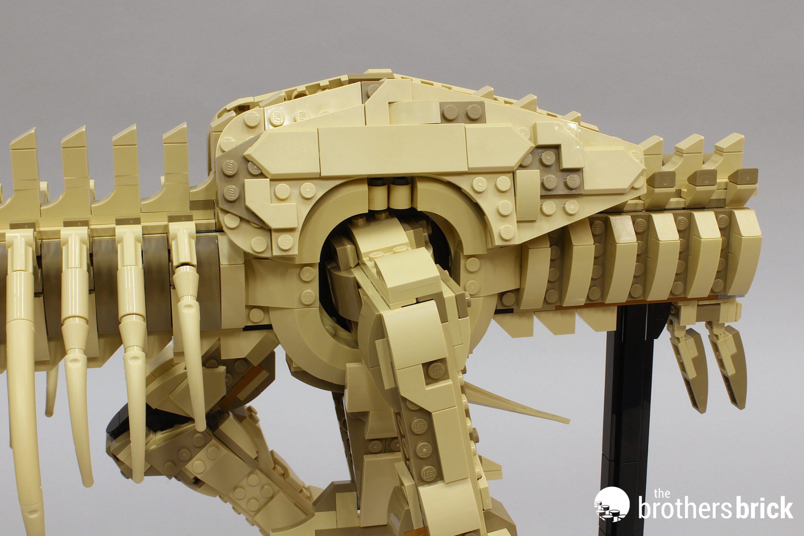 LEGO Jurassic World 76968 Dinosaur Fossils_ Tyrannosaurus Rex - TBB ...