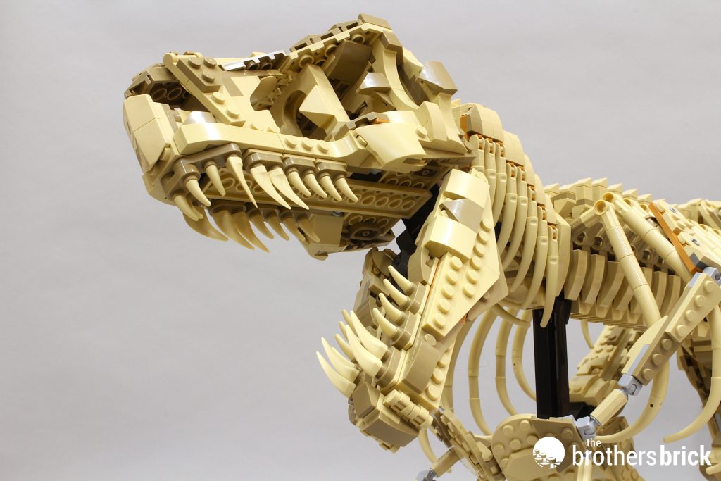 LEGO Jurassic World 76968 Dinosaur Fossils: Tyrannosaurus Rex - An