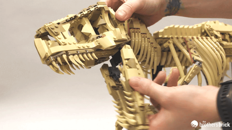 LEGO Jurassic World 76968 Dinosaur Fossils: Tyrannosaurus Rex - An