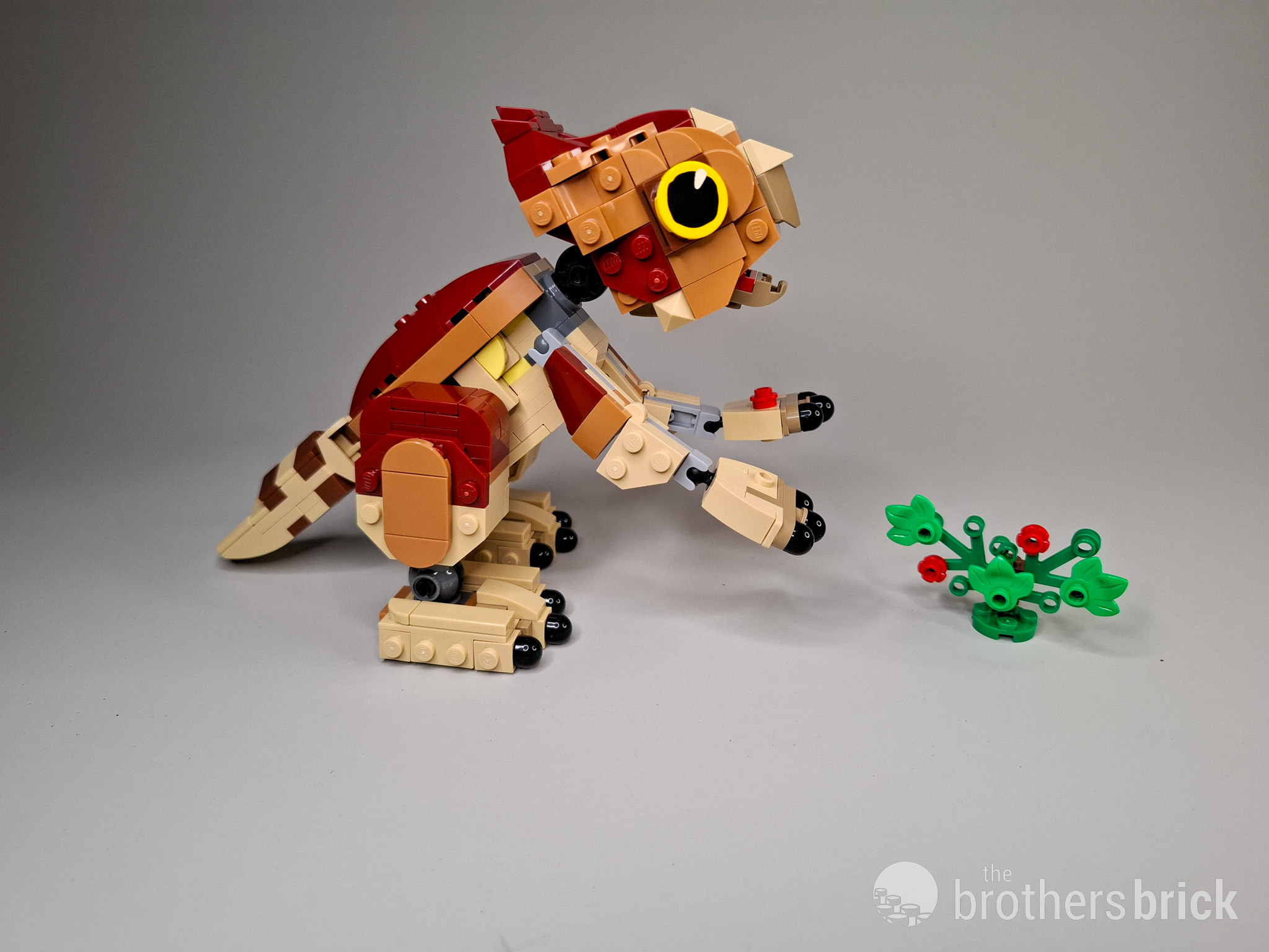 腹ペコ 腹ペコガイド | マキシマム ザ ホルモン Official Site