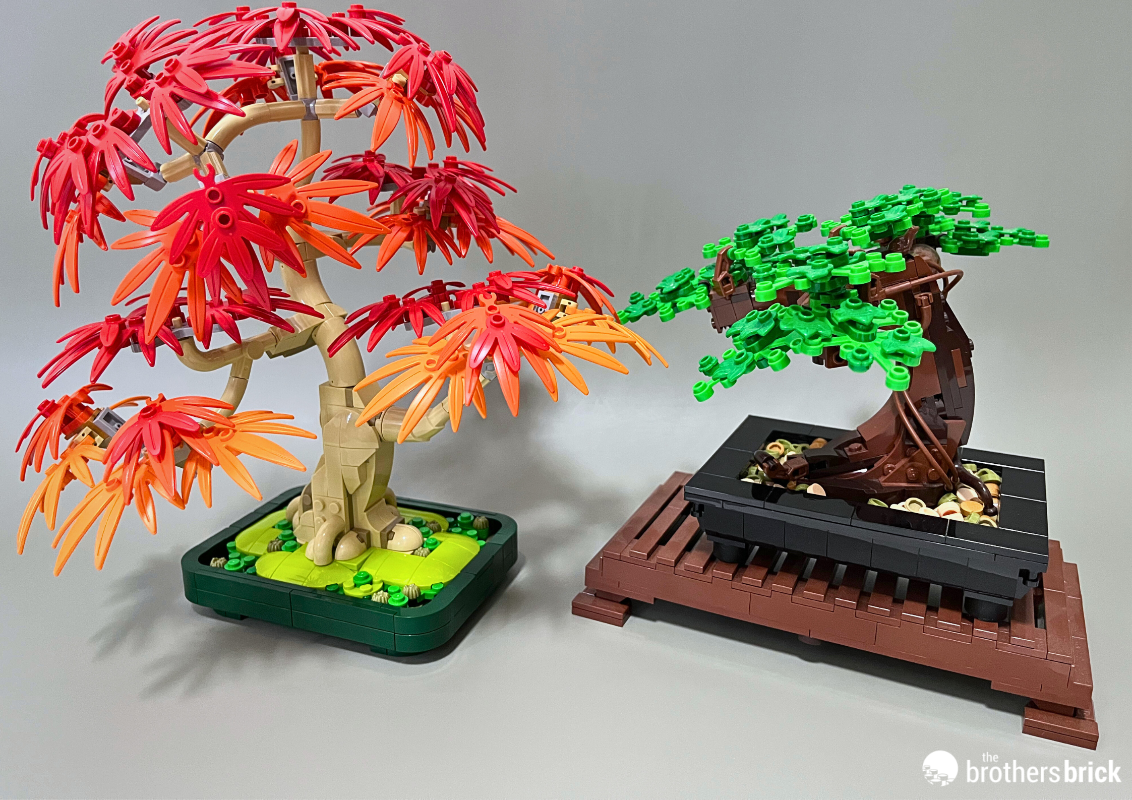 LEGO Botanicals 10348 Japanese Red Maple Bonsai Tree  A return to roots  [Review] - The Brothers Brick | The Brothers Brick