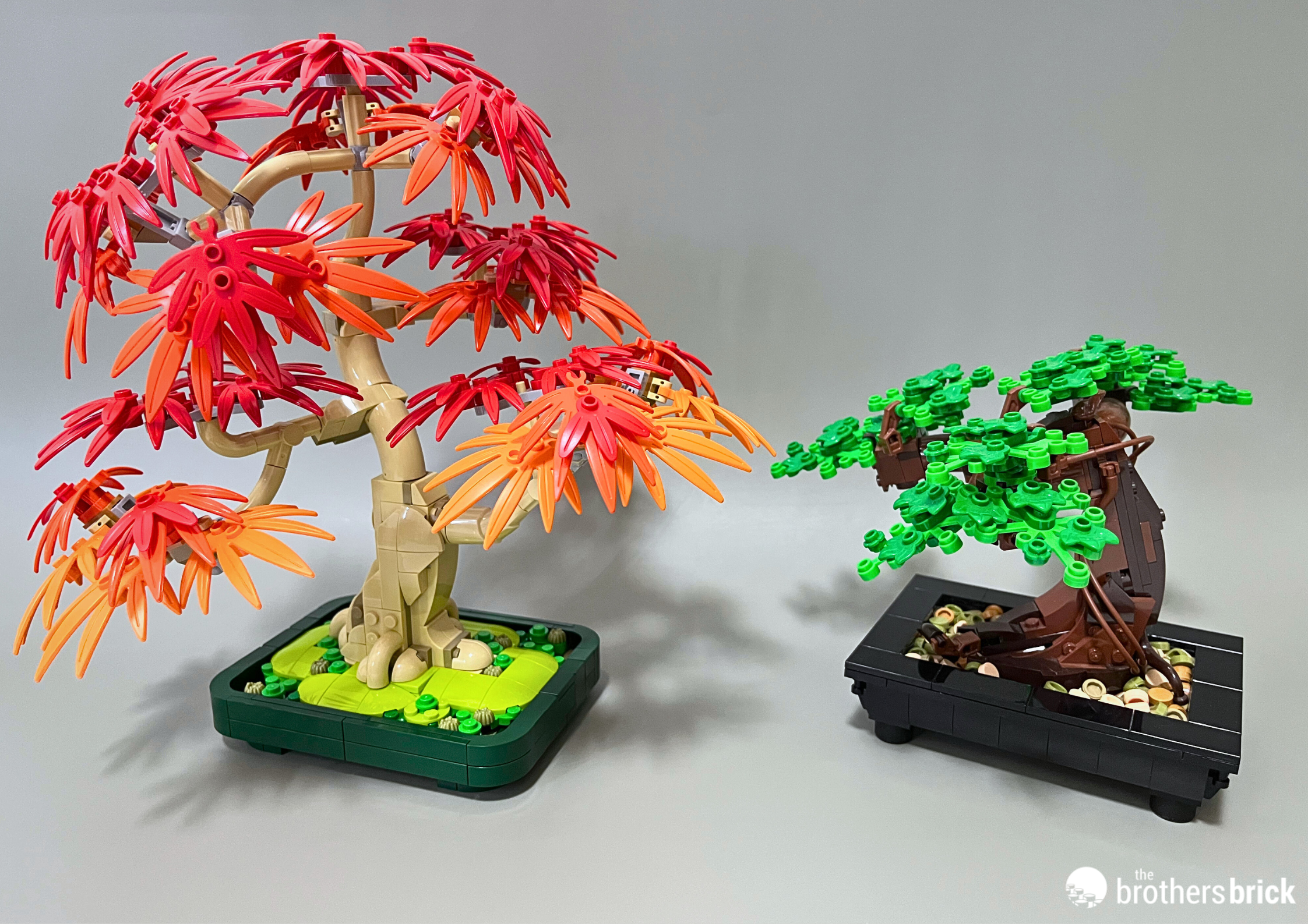 LEGO Botanicals 10348 Japanese Red Maple Bonsai Tree  A return to roots  [Review] - The Brothers Brick | The Brothers Brick