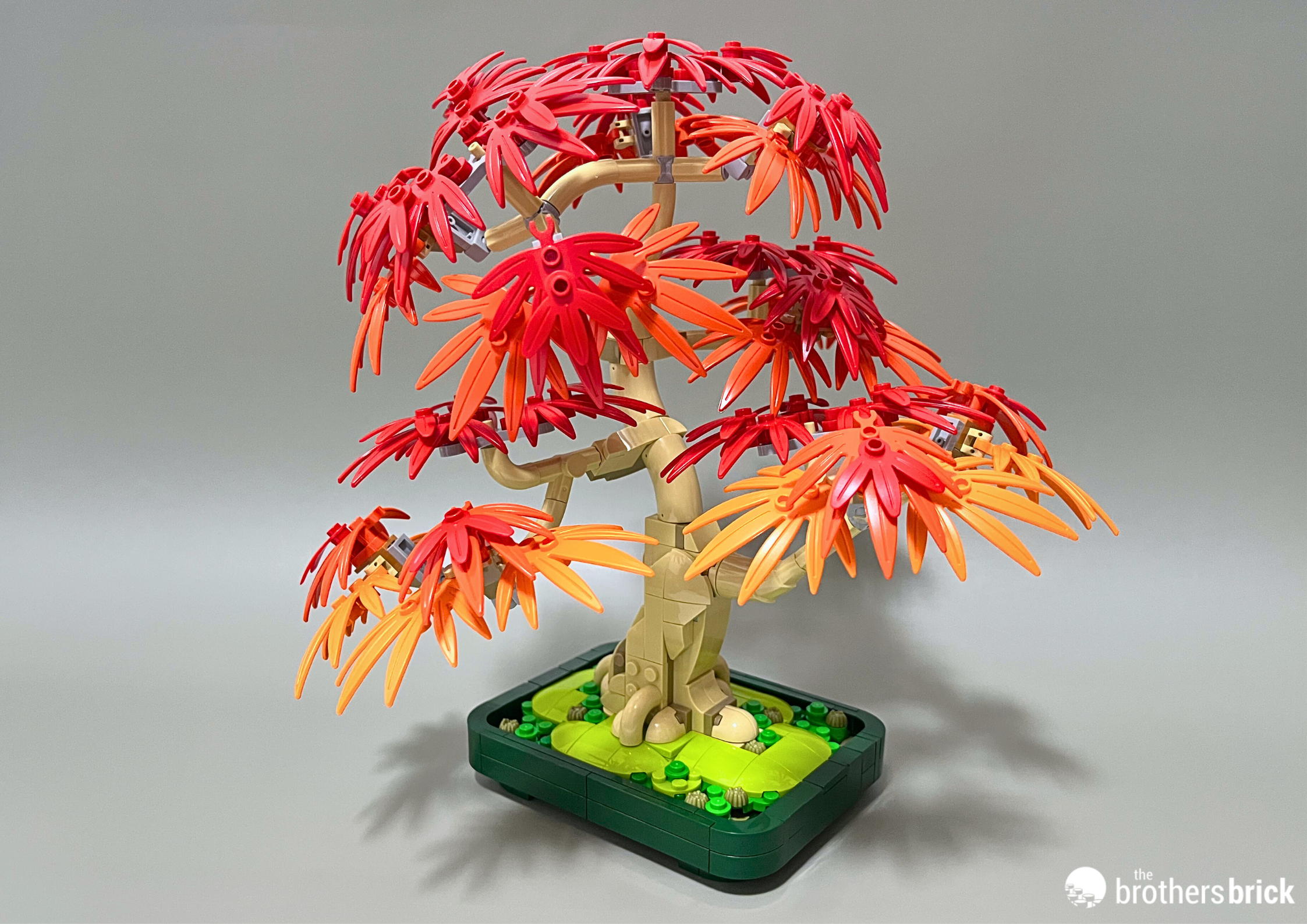 LEGO Botanicals 10348 Japanese Red Maple Bonsai Tree – A return to