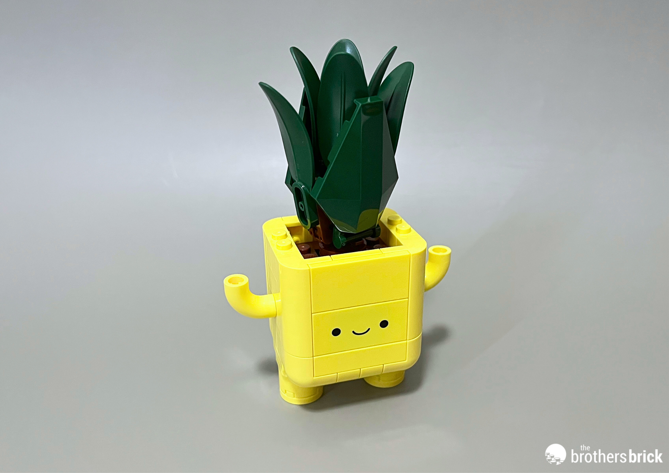 LEGO Botanicals 10349 Happy Plants – TBB Review – DS16DS – (12