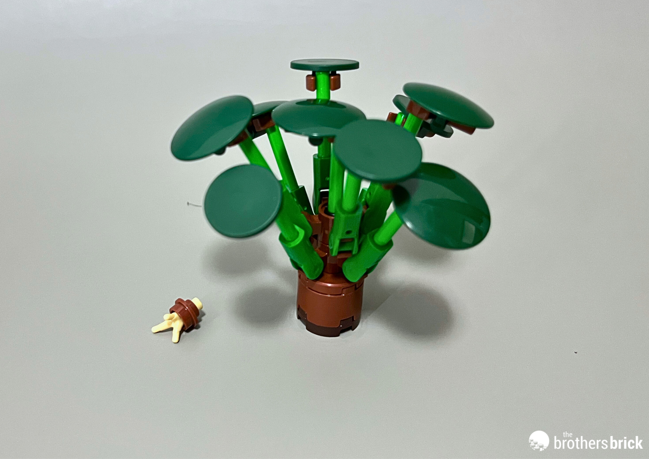 LEGO Botanicals 10349 Happy Plants – Smiles in bloom [Review