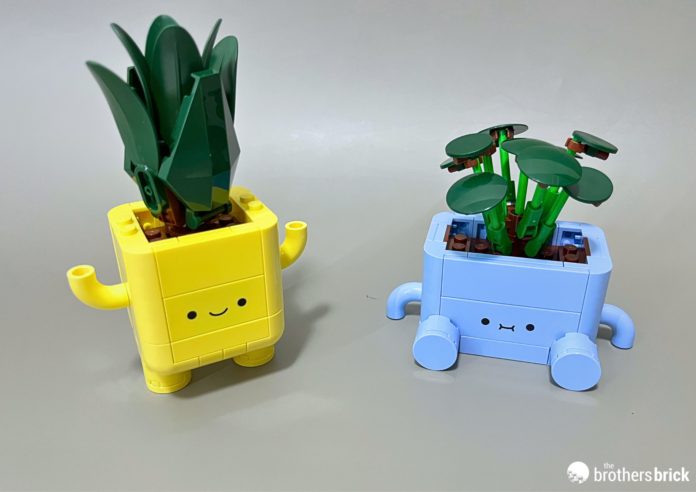 LEGO Botanicals 10349 Happy Plants – TBB Review – DS16DS – (18
