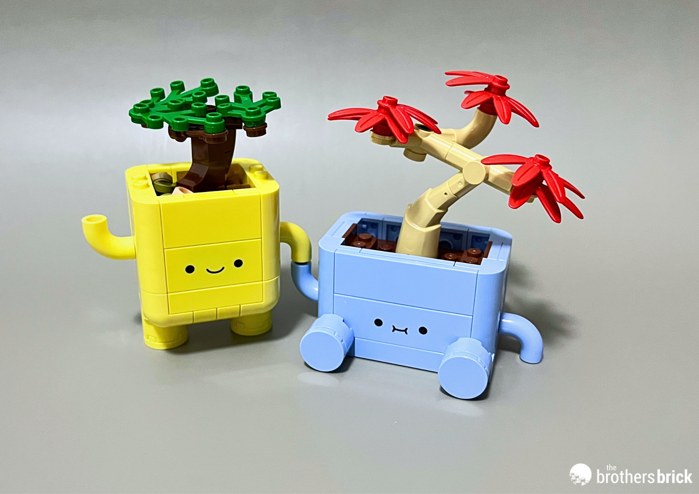 LEGO Botanicals 10349 Happy Plants – TBB Review – DS16DS – (22