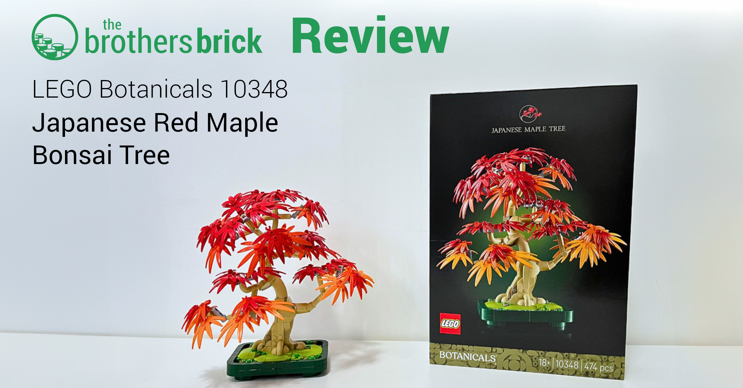 LEGO Botanicals 10348 Japanese Red Maple Bonsai Tree – A return to