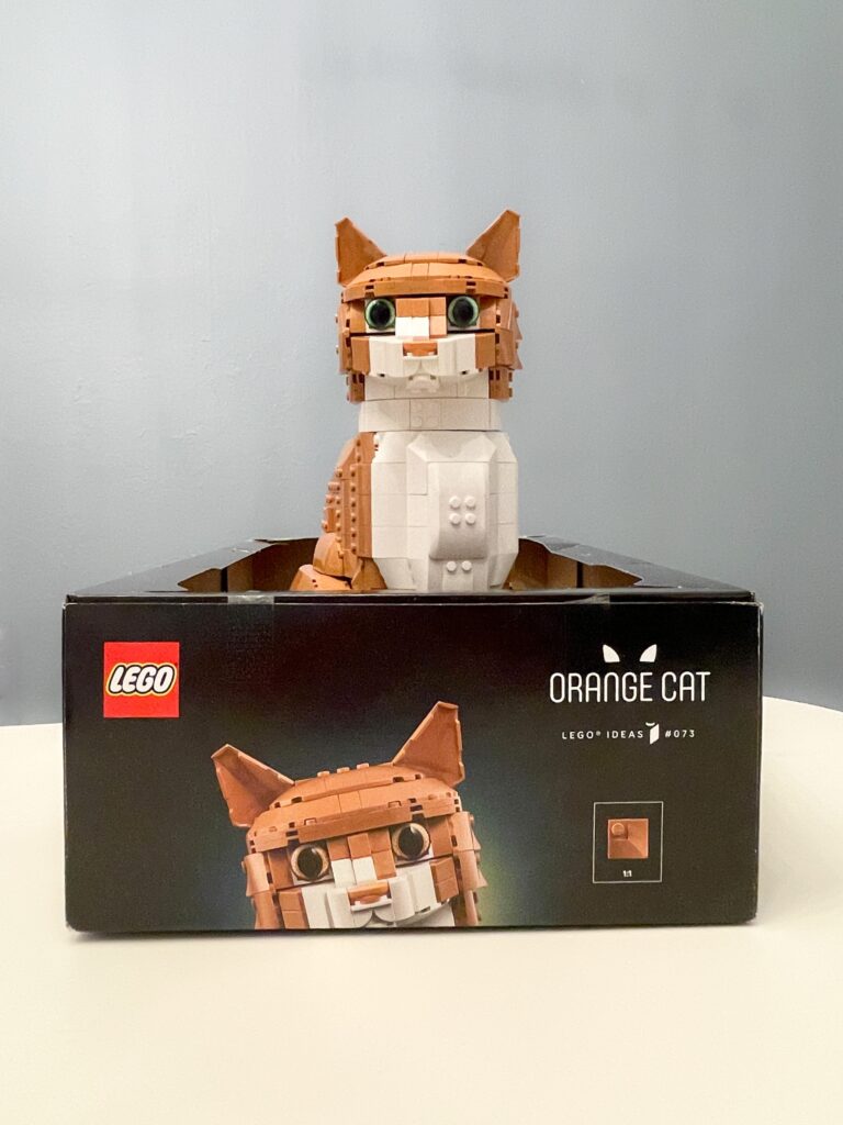 42882535-DFB6-441B-97F9-C04DEEF06650 - The Brothers Brick | The
