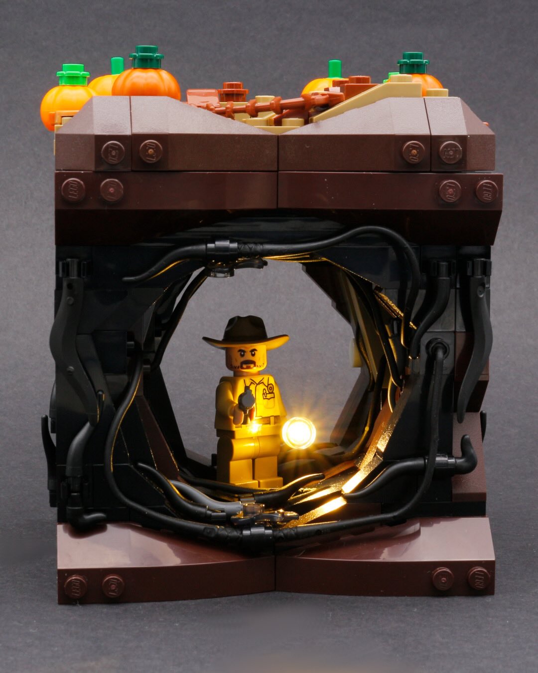 621802894 18304306336284578 1078047457642740549 N