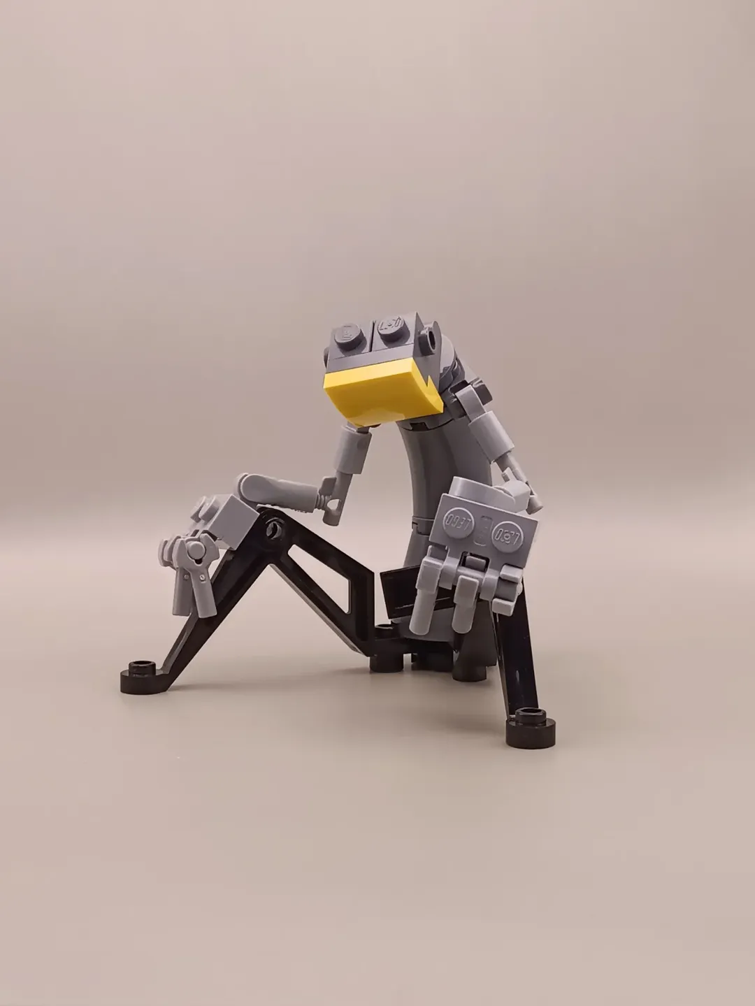 625893545 17977282217979390 6917115374598180902 N