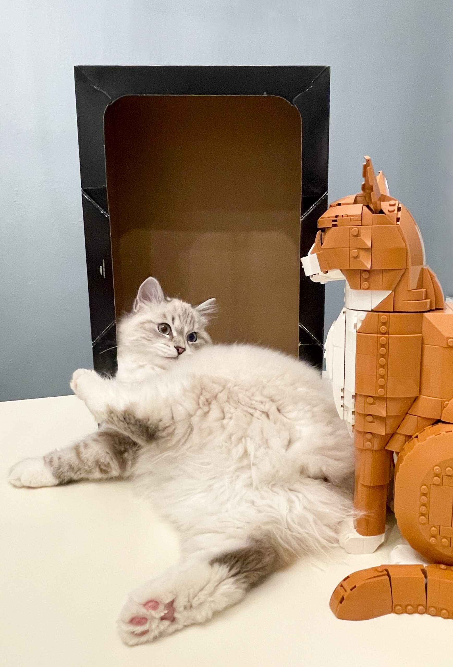LEGO Ideas 21376 Orange Cat: Recolored classic lands on its feet