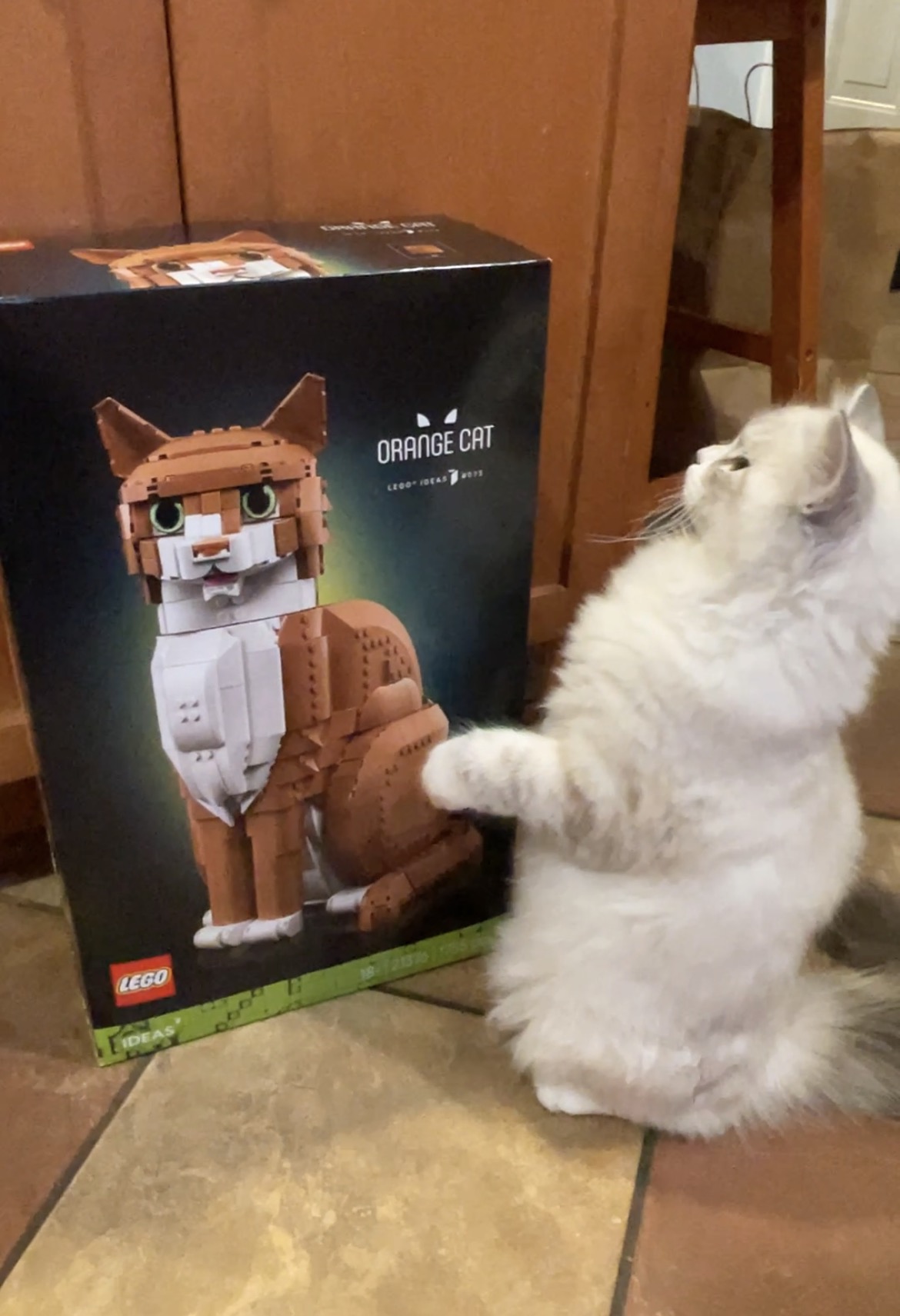 LEGO Ideas 21376 Orange Cat: Recolored classic lands on its feet