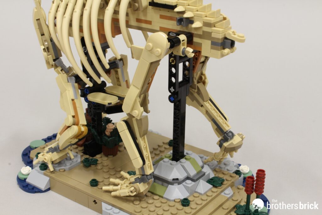 LEGO Jurassic World 77985 Dinosaur Fossils: Triceratops [Review